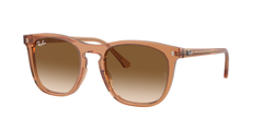 676451 (Brown)