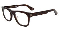 Tortoise (VPLE37 520722)