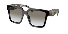 1AB0A7 (Black)