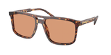Magma Tortoise (14O07V) / 58