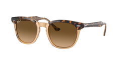 Havana On Transparent Brown (1292M2)