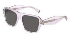 Crystal Violet (8376S4)