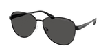 Black Shiny (100587) / 59