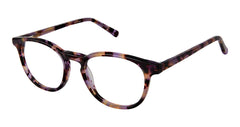 Sf (S407)