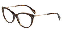 Tortoise (VPLA89 540722)