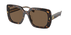 Dark Tortoise (172873)