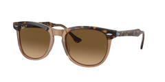 Havana On Transparent Brown (1292M2)