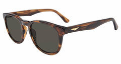 Shiny Striped Brown (SPLP22 530836)