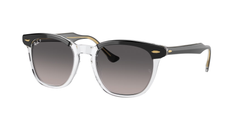 Transparent Grey (1294M3)
