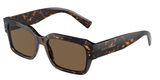 Dolce & Gabbana Dg4460 – Havana (502/73) / 56 Sunglasses Frame
