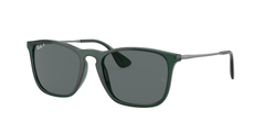 666381 (Green)