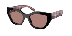 12O10D (Brown)