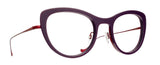 677 Dark Purple Dark Burgundy (2100870677) / 51