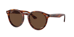 Striped Havana (954/AN)
