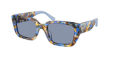 Blue Tortoise (190580) / 51