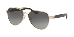 Shiny Light Gold Metal (327111)