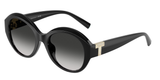 Black (80013C) / 53