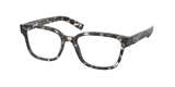 Matte Grey Tortoise (VH31O1) / 53