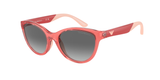 Shiny Transparent Coral (537711) / 48