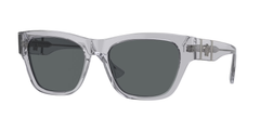 Grey Transparent (543287)