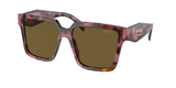 Tortoise Cognac Begonia (18N01T) / 57