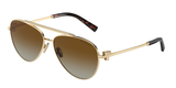 Pale Gold (6208T5) / 59