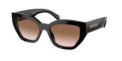 1AB0A6 (Black)