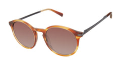 Horn Amber (764724848163)