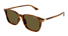 Brown (004)