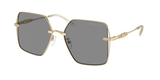Shiny Light Gold (10143F) / 58