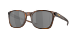 Matte Brown Tortoise (901818) / 55