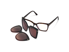 Dark Havana (054-53)