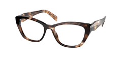 Caramel Tortoise (07R1O1)