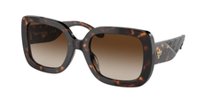 Dark Tortoise (172813)