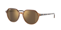 Transparent Brown (663693)