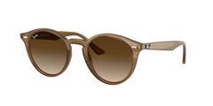 616613 (Brown)