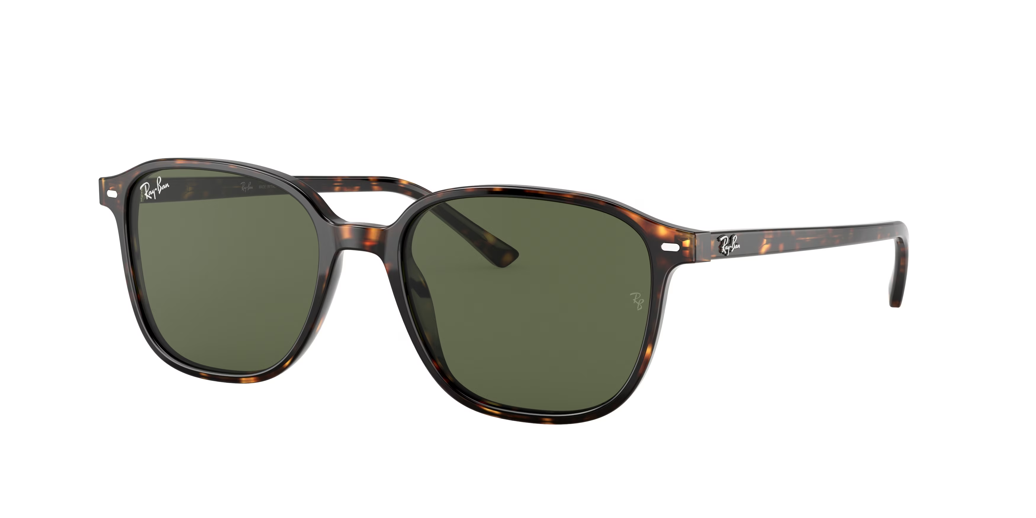 Tortoise (902/31) / 51