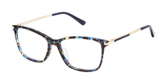 Blue Tortoise (764724830540)