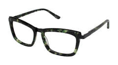 Olive Tortoise (764724338084)