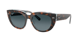 Dark Havana On Transparent Multicolor (1413S3) / 52