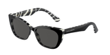 Black On Zebra (337287) / 49