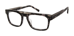 Grey Tortoise (764724860523)