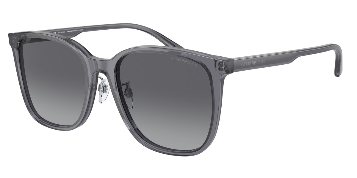 Shiny Transparent Grey (5029T3) / 57