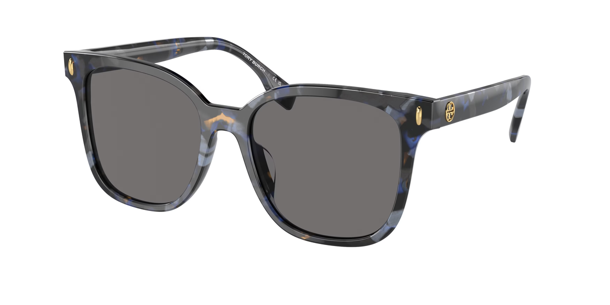 Blue Tortoise (195787) / 53
