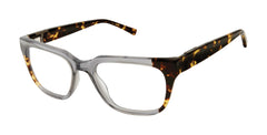 Grey Tokyo Tortoise (764724424879)