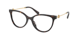 Brown Tortoise (1728) / 53