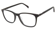 Sf (M300)