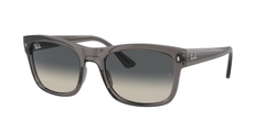 667571 (Grey)
