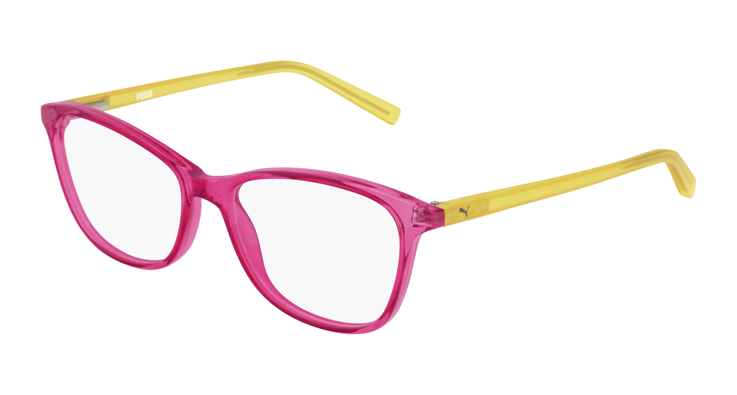 Fuchsia (008)