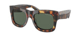 Jet Set Tortoise (300671) / 51